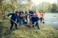 Акция «Посади дерево»
